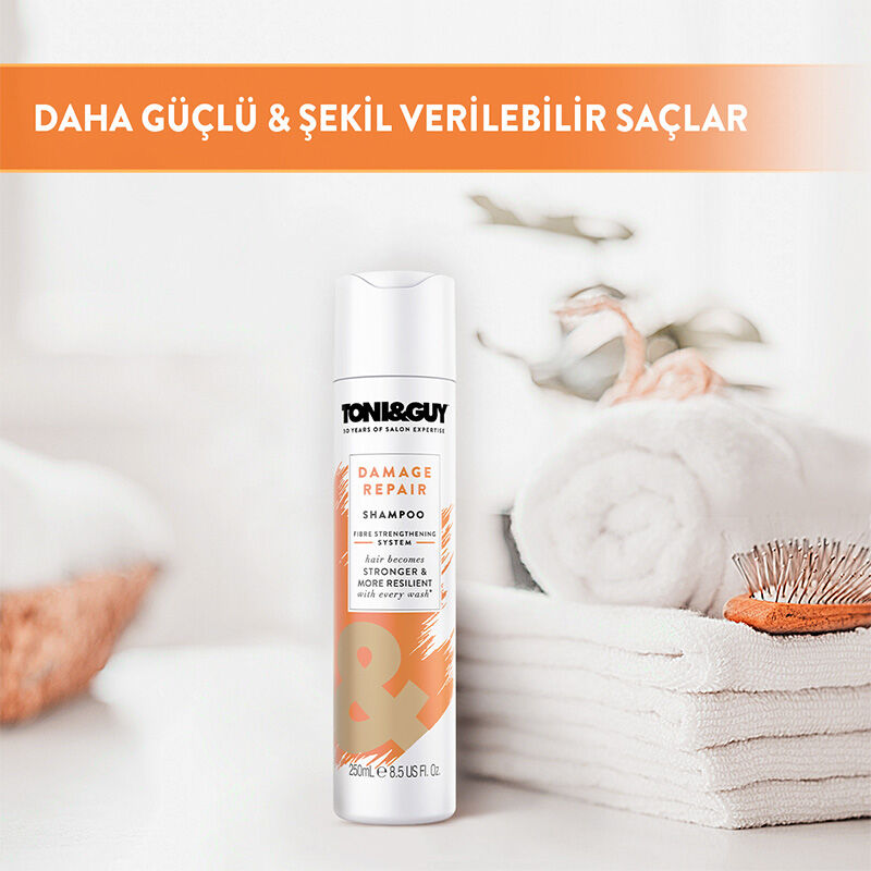 Toni Guy شامبو توني جاي للشعر الجاف والتالف 250 مل